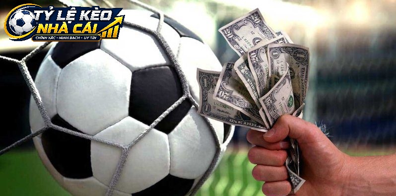 Hiểu Đúng Kèo 2.5 Để Đưa Ra Lựa Chọn Chính Xác